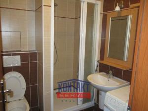 Pronájem bytu 2+kk, České Budějovice - České Budějovice 3, 50 m2