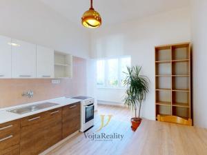 Pronájem bytu 1+1, Olomouc - Hodolany, Hálkova, 52 m2