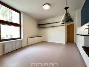Pronájem bytu 1+kk, Brno, Peroutková, 25 m2