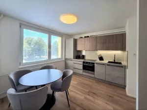 Pronájem bytu 1+1, Brno, Fleischnerova, 40 m2