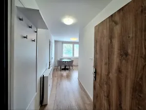 Pronájem bytu 1+1, Brno, Fleischnerova, 40 m2
