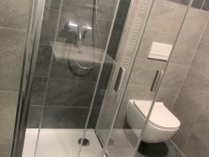 Pronájem bytu 1+kk, Uničov, Pionýrů, 38 m2