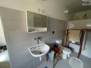 Prodej rodinného domu, Velemyšleves - Minice, 130 m2