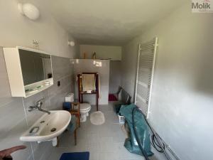 Prodej rodinného domu, Velemyšleves - Minice, 130 m2