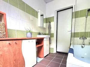 Prodej bytu 1+1, Nové Heřminovy, 64 m2
