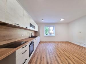 Pronájem bytu 2+kk, České Budějovice - České Budějovice 7, K. Lávičky, 41 m2