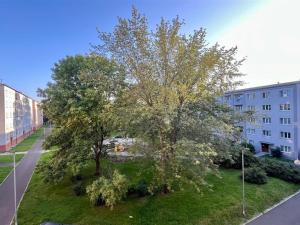 Prodej bytu 2+1, Cheb, Jungmannova, 52 m2