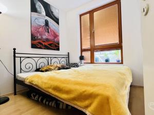 Prodej bytu 3+kk, Praha - Kunratice, Pod Haltýřem, 75 m2