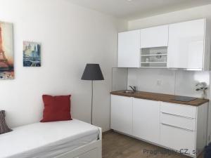 Pronájem bytu 1+kk, Praha, Hornoměcholupská, 25 m2