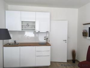 Pronájem bytu 1+kk, Praha, Hornoměcholupská, 25 m2