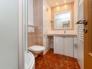 Pronájem bytu 2+kk, Plzeň, U Borského parku, 41 m2