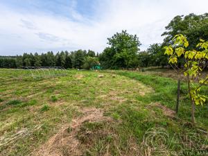 Prodej pozemku pro bydlení, Samšina, 22154 m2