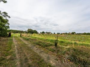 Prodej pozemku pro bydlení, Samšina, 22154 m2