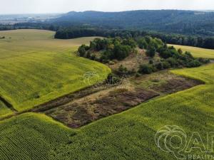 Prodej pozemku pro bydlení, Samšina, 22154 m2