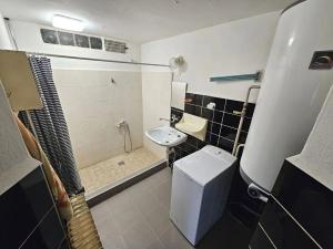 Prodej rodinného domu, Třebenice, Nádražní, 110 m2