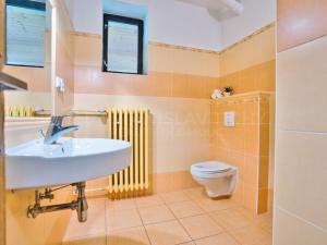 Prodej ubytování, Velké Losiny, Žižkova, 431 m2