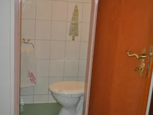 Pronájem bytu 2+kk, Praha - Žižkov, Vlkova, 52 m2