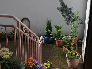 Pronájem bytu 2+kk, Praha - Žižkov, Vlkova, 52 m2
