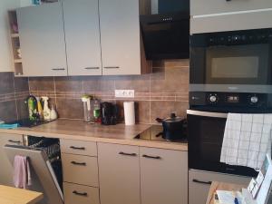 Pronájem bytu 1+1, Planá, Bohušova, 42 m2