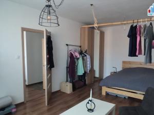Pronájem bytu 1+1, Planá, Bohušova, 42 m2