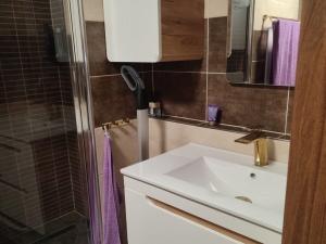 Pronájem bytu 1+1, Planá, Bohušova, 42 m2