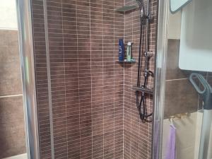 Pronájem bytu 1+1, Planá, Bohušova, 42 m2