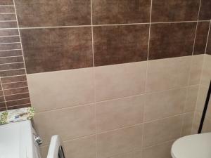 Pronájem bytu 1+1, Planá, Bohušova, 42 m2