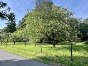Prodej rodinného domu, Klimkovice, Malá strana, 90 m2