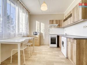 Pronájem bytu 1+1, Plzeň - Severní Předměstí, Elišky Krásnohorské, 32 m2
