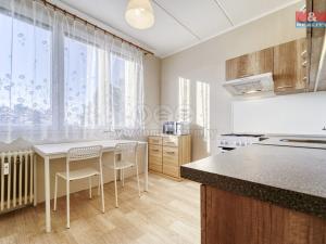 Pronájem bytu 1+1, Plzeň - Severní Předměstí, Elišky Krásnohorské, 32 m2