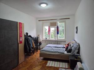 Pronájem bytu 2+1, Hradec Králové, Smetanovo nábřeží, 76 m2