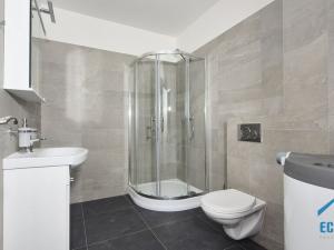 Pronájem bytu 1+kk, Kolín, Havlíčkova, 27 m2