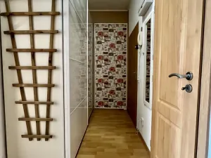 Pronájem bytu 1+1, Ostrava - Přívoz, Macharova, 46 m2