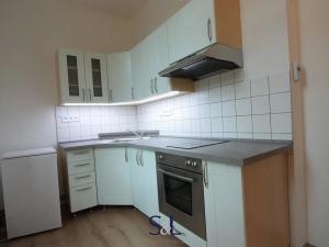 Pronájem bytu 1+1, Oldřichov v Hájích, 31 m2