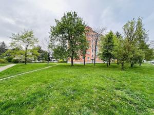 Pronájem bytu 2+kk, Plzeň, Heyrovského, 38 m2