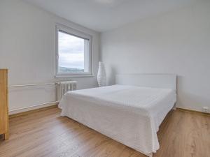 Pronájem bytu 2+1, Chomutov, Bezručova, 55 m2