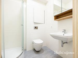 Pronájem bytu 1+kk, Praha - Vysočany, Freyova, 32 m2