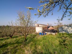 Prodej zahrady, Kokory, 1400 m2