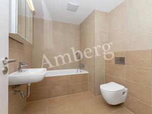 Pronájem bytu 1+kk, Praha - Žižkov, Olgy Havlové, 34 m2
