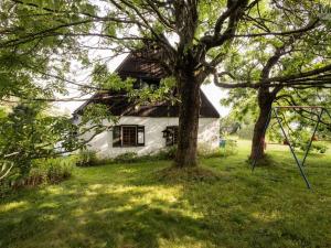Prodej rodinného domu, Dubí - Cínovec, 409 m2
