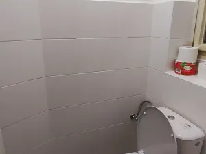 Pronájem bytu 2+kk, Praha - Žižkov, Baranova, 56 m2