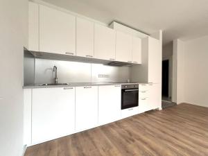 Pronájem bytu 1+kk, Plzeň - Východní Předměstí, Kartónová, 35 m2