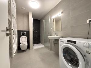 Pronájem bytu 1+kk, Plzeň - Východní Předměstí, Kartónová, 35 m2
