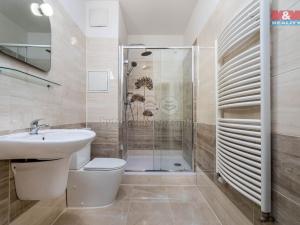 Pronájem bytu 1+kk, Praha - Záběhlice, Podle náhonu, 36 m2