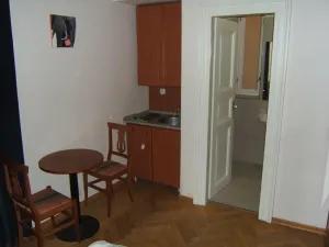 Pronájem bytu 1+kk, Praha - Staré Město, Masná, 19 m2