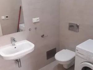 Pronájem bytu 1+kk, Praha - Staré Město, Masná, 19 m2