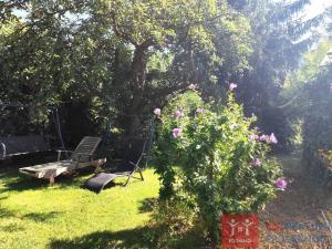 Prodej zahrady, Znojmo, 1046 m2