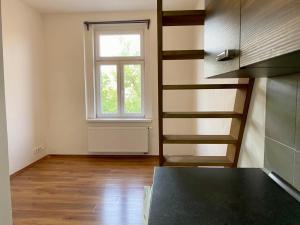 Pronájem bytu 1+kk, Praha - Vysočany, Freyova, 20 m2