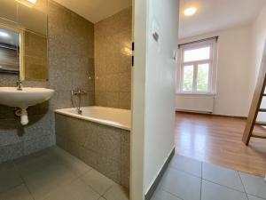 Pronájem bytu 1+kk, Praha - Vysočany, Freyova, 20 m2