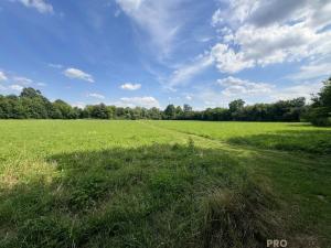 Prodej louky, Rohatec, 1161 m2